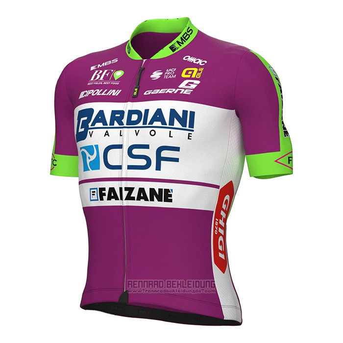 2022 Fahrradbekleidung Bardiani Csf Faizane Grun Volett Trikot Kurzarm und Tragerhose